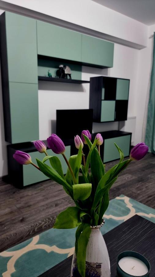 Swan Brasov Apartment Exterior foto